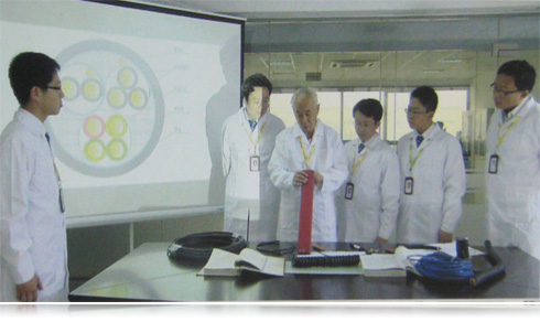 天津桃色91软件安装電纜國內國標電線品牌
